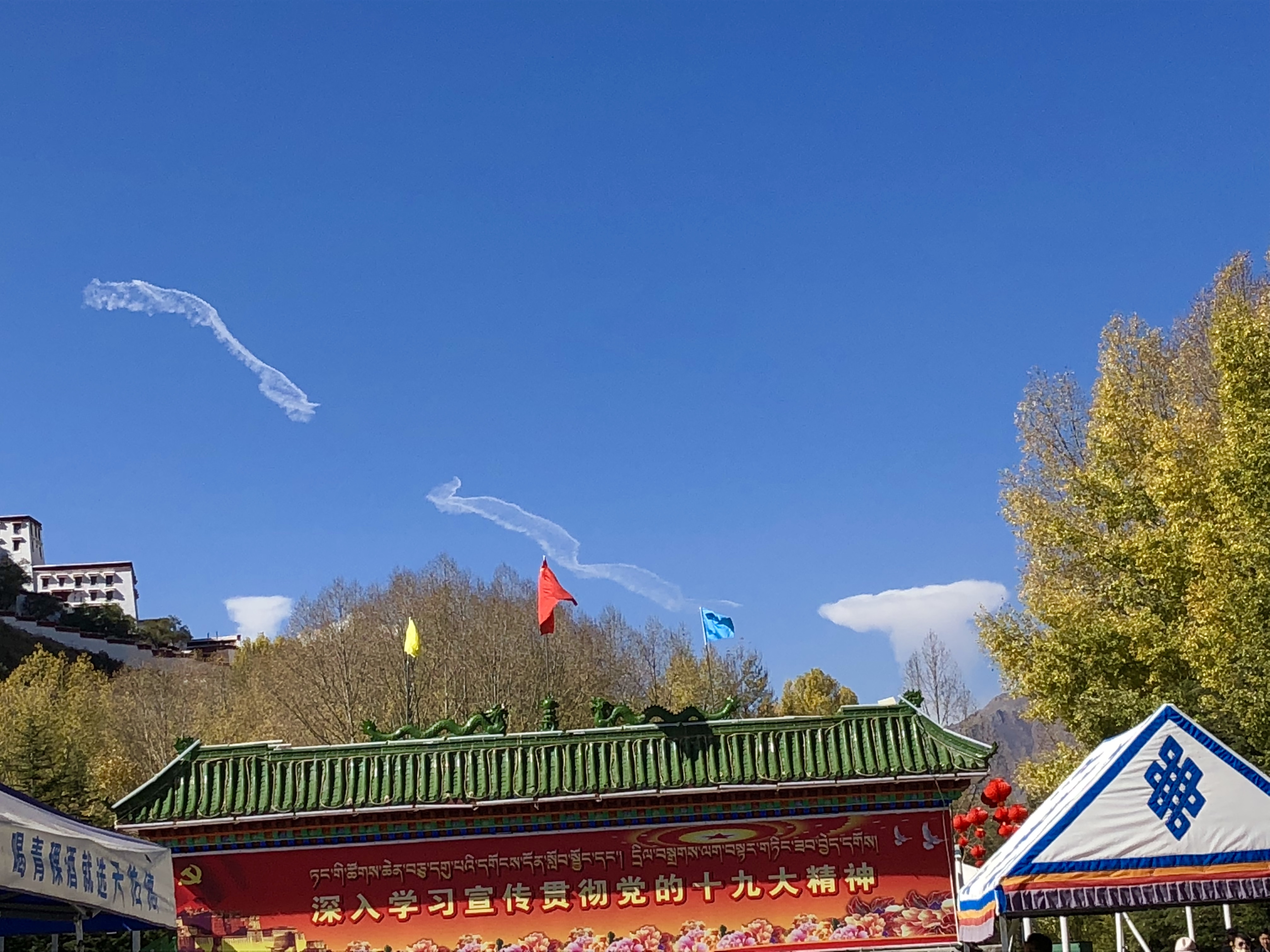 ポタラ宮殿の龍