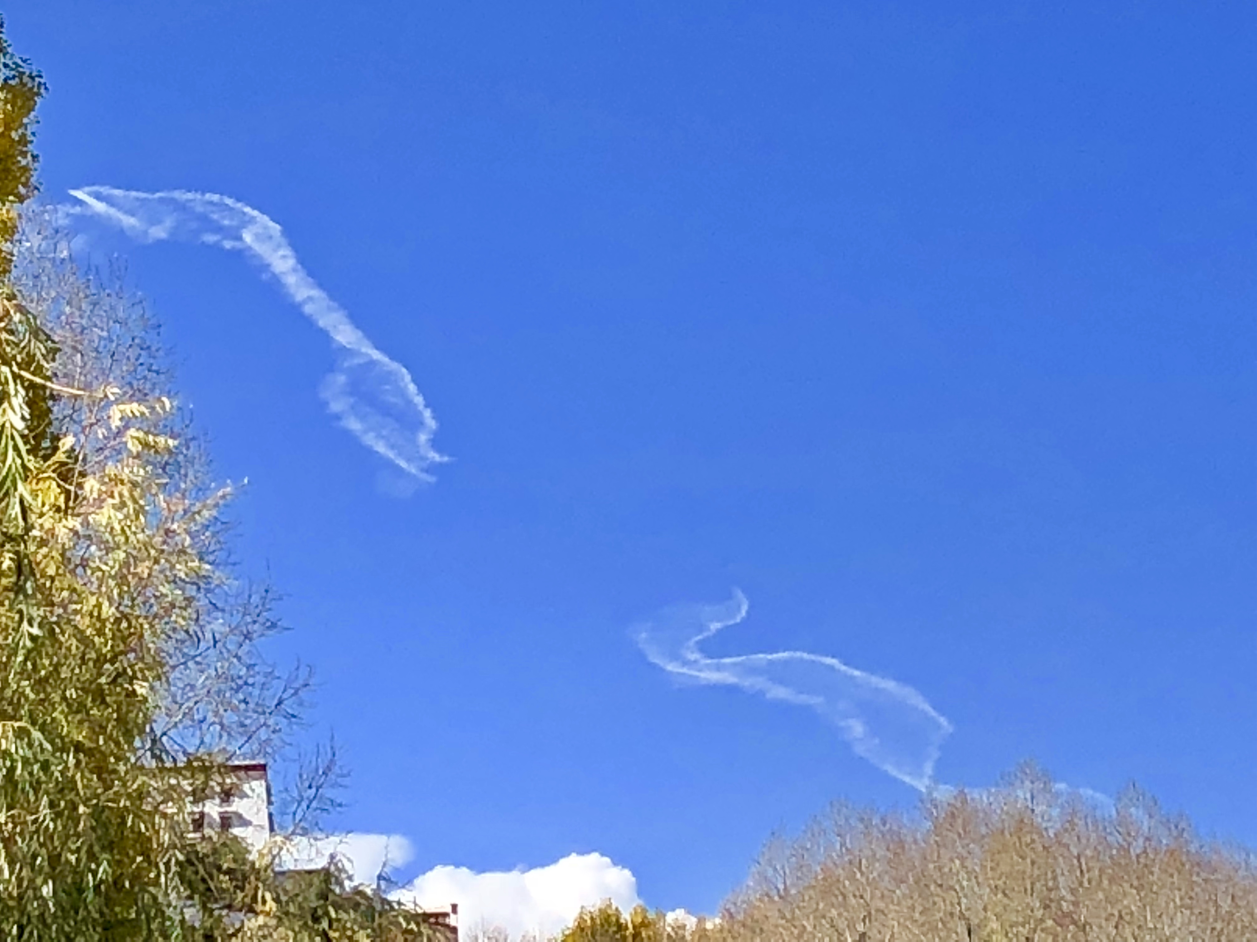 ポタラ宮殿の龍2