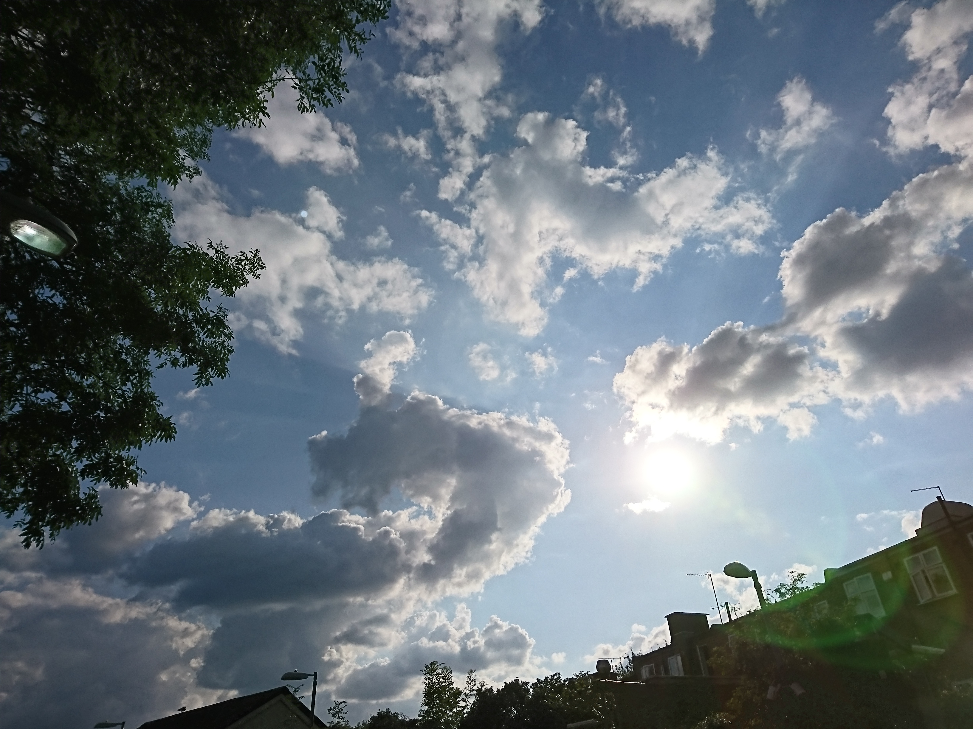 フィンチレイの龍